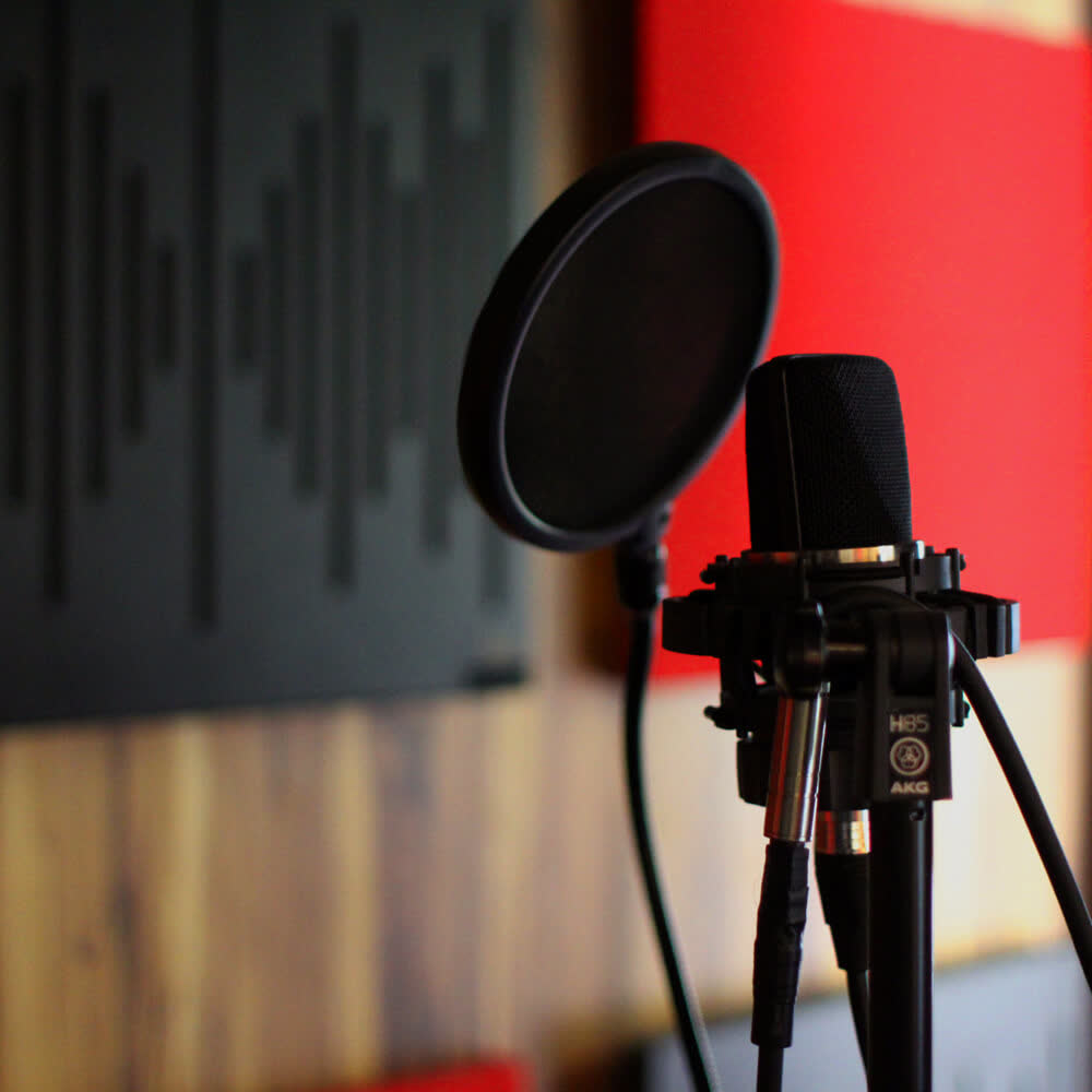 NORTHERN ORGANIZED RECORDS - ESTUDIO — foto 1