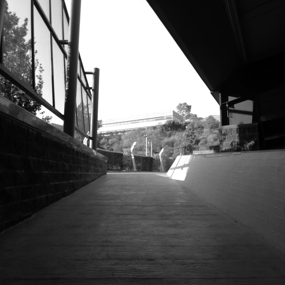 FORO CORONA — foto 5