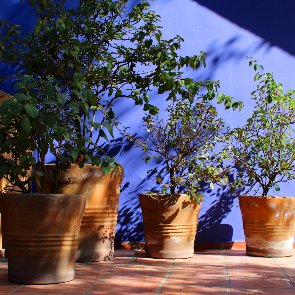 CASA ELENA — foto 4